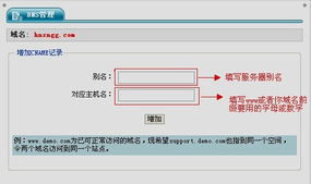一網打盡 中小企業上網必備的互聯網基礎設施與選擇指南